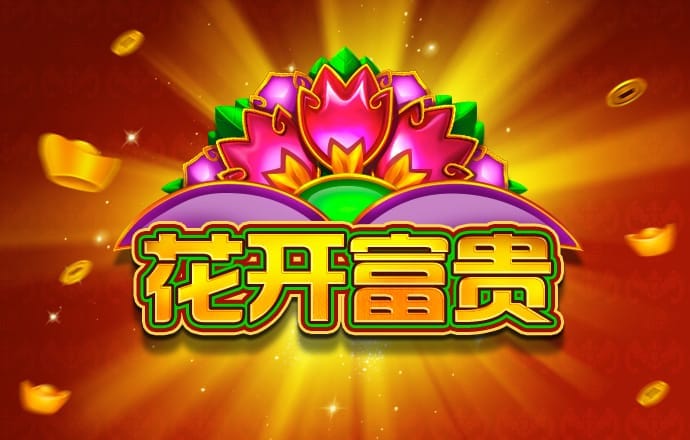 Dg体育足球网